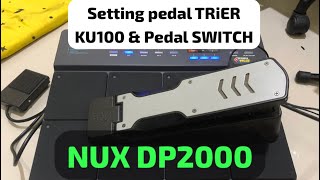 SETTING PEDAL KICK trigerswitch NUX DP2000 samplingdtx nuxdp2000 samplingNUX [upl. by Lexi15]