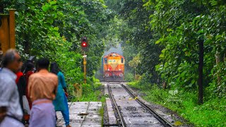 Most Beautiful Railway Line in India ShoranurNilambur Section [upl. by Nitsir]