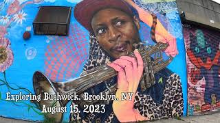 New York Summer Walk  Brooklyn  Bushwick Street Art in NYC [upl. by Nrehtak209]