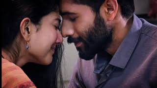 Nee Chitram Choosi song  SLOWED AND REVERB lovestory neechitramchoosi nagachaitanya saipallavi [upl. by Airdnazxela]