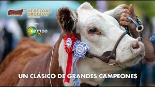 20240224 JURA HEREFORD EXPO DURAZNO [upl. by Grodin323]