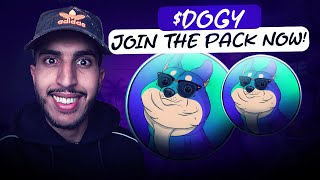 🔥 THE DOG MEMECOIN THATS GOING TO MOON 🔥 DOGY 🔥 JOIN THE PACK NOW [upl. by Aneehsak]