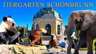 Tiergarten Schönbrunn  Oldest Zoo in the World 🐘🦒🐼 Vienna [upl. by Ahsim]