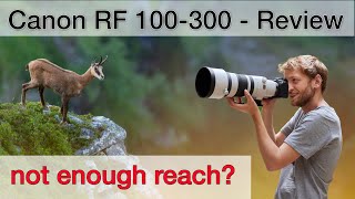 Canon RF 100300mm f28  Useful for Wildlife Photography Review [upl. by Walther953]