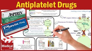 Pharmacology CVS 20 Antiplatelet Drugs Mechanism Of Action  Aspirin  Clopidogrel  Cilostazol [upl. by Adur]