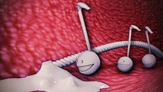 This is my Otamatone [upl. by Gwenni]