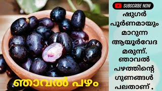 Njaval pazham  ഞാവൽ പഴം  ഞാവൽ പഴത്തിന്റെ ഗുണങ്ങൾ  Malabar plum  black plum  jamun [upl. by Ellessig]