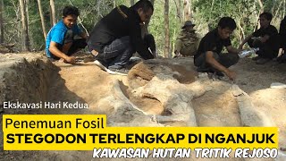 FOSIL STEGODON TERLENGKAP DI NGANJUK  EKSKAVASI HARI KEDUA [upl. by Dnana]