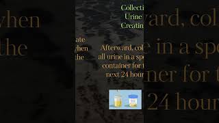 24 hour Urine Protein and Creatinine  24 hour Urine CollectionA guide for 24hour urine collection [upl. by Jerald494]