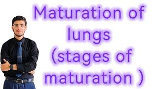 Stages of Maturation of Lungs [upl. by Aicilaanna]