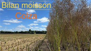 Bilan moisson 2024 Colza [upl. by Hazrit]