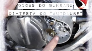 Dicas do Serrano  n° 01 Teste do quotAutolubequot bomba dóleo [upl. by Einej64]