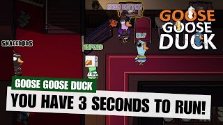 You have 3 seconds to run  Goose Goose Duck [upl. by Alik413]