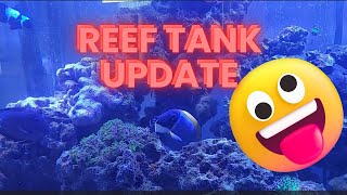 Reef Tank Update [upl. by Sajet]