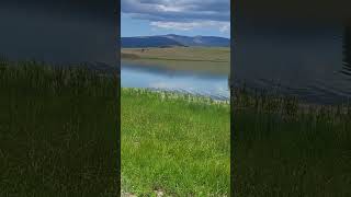 71023 hike Arizona in high country many scenic lake spots vibrant blues and bright green grass [upl. by Assylem413]