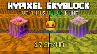 How MelonKing Farms 172 MILLION COINS Per Hour in Hypixel Skyblock [upl. by Kries]