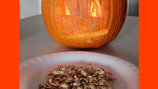 Pumpkin Seed Recipe Brown Sugar And Cinnamon Pumpkin Seeds Oven Baked [upl. by Azalea]