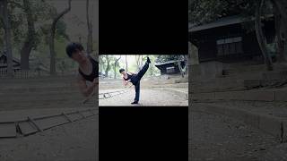 カンフー Kung Fu 踢脚 蹴りkicking 掃脚roundhouse kickinside crescent kick 功夫 gongfu martialarts カンフー [upl. by Sykes857]