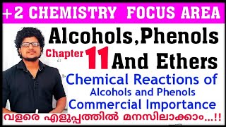 Chemical reactions of Alcohols and Phenols Plus two chemistry chapter 11 focus area  Lucas Test [upl. by Ellynn438]