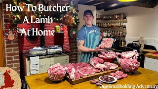 How to Butcher a Whole Lamb At Home  Self Sufficient Life [upl. by Ardnuassac]