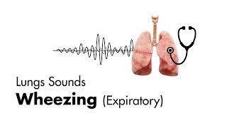 Wheezing expiratory  Lung Sounds  MEDZCOOL [upl. by Chema]