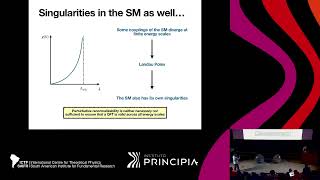 Antonio D Pereira The predictive power of Asymptotically Safe Quantum Gravity Can we test it [upl. by Emili]