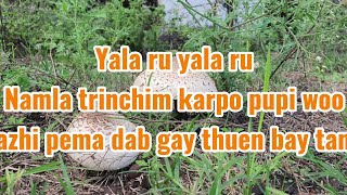 Yala ru  vocal off  Kinley Tshering  Dechen Pem  Bhutanese karaoke song with lyrics [upl. by Charmine]