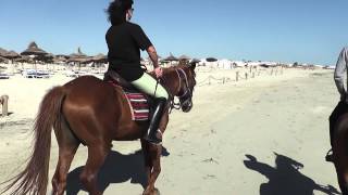 Reiten am Strand [upl. by Aihtnys]