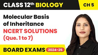 Molecular Basis of Inheritance  NCERT Solutions Que 1 to 7  Class 12 Biology Chapter 5  CBSE [upl. by Eyeleen]