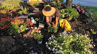 Zone 9B Gardening Proven winners Solenia Begonia Coneflower amp Dahlia 🌞 Summer Plants [upl. by Even]