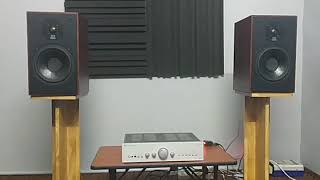 Monitor audio alpha 1000 speakers and cambridge audio azur 640a amplifier [upl. by Vitus]