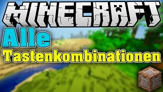 MINECRAFT Alle Tastenkombinationen • FPS Diagramm Tortendiagramm Hitboxen usw  HD60FPS [upl. by Yarrum]