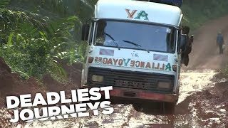 Deadliest Journeys  Cameroon Birds and Lizards [upl. by Sollie650]