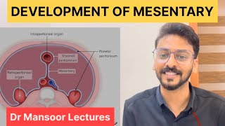 Development of Mesentery  Anatomy Dr Mansoor Malayalam Lecture [upl. by Waylan438]