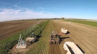 Amity Technology Harvest in Idaho [upl. by Adriane]