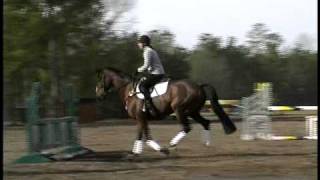 Phillip Dutton Pro Tips  Horse Jumping Tips  Horse Jumps [upl. by Moritz]