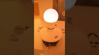 Flickering LED Bulb [upl. by Yelahc370]