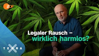 Cannabis – zwischen Horror und Heilung – Leschs Kosmos Ganze TVFolge  Harald Lesch [upl. by Eilra]