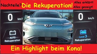 Die Rekuperation Ein Highlight beim Kona  AutoRekuperation Paddelsich zeige Euch alles [upl. by Allemaj]