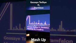 Gossaye Tesfaye ft Pamfalon Mashup [upl. by Bal]