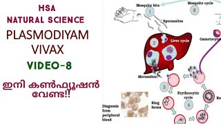 പ്ലാസ്മോടിയം വിവാക്സ്കൺഫ്യൂഷൻ മാറ്റാം 👍HSA NATURAL SCIENCEKTET 3SET [upl. by Noryd]