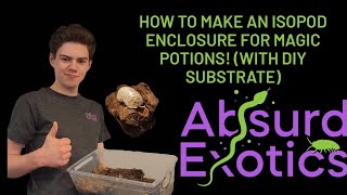 How to make your own isopod enclosure for Magic Potions With homemade isopod substrate [upl. by Rip]