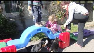 Welpenspiel und Kinderschuh  Sennenhund Welpen [upl. by Kemme]