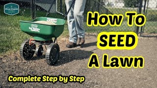 How To Seed a Lawn  Complete Step By Step Guide [upl. by Quitt712]