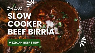 How to Make Slow Cooker Crockpot Beef Birria  A Flavorful Mexican Stew [upl. by Uliram]