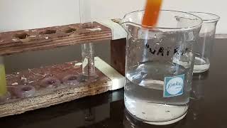 HCL acid vs hydrogen peroxide  Reaction of HCL acid and hydrogen peroxide with nail [upl. by Nnayt]