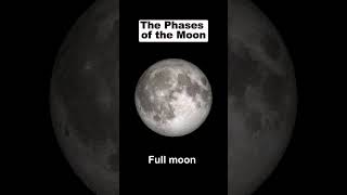 phases of moon [upl. by Fauch]