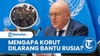 Rusia Bertanya di PBB Jika Barat Bantu Ukraina Mengapa Korea Utara Dilarang Bantu Kita [upl. by Oznecniv]