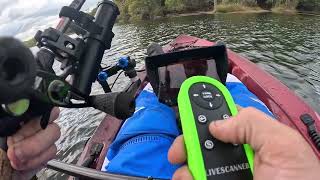 Accuphy Ping sonar with Livescanner mount [upl. by Cherish]