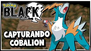 Pokemon Black 21  Como Capturar Cobalion [upl. by Gilburt]